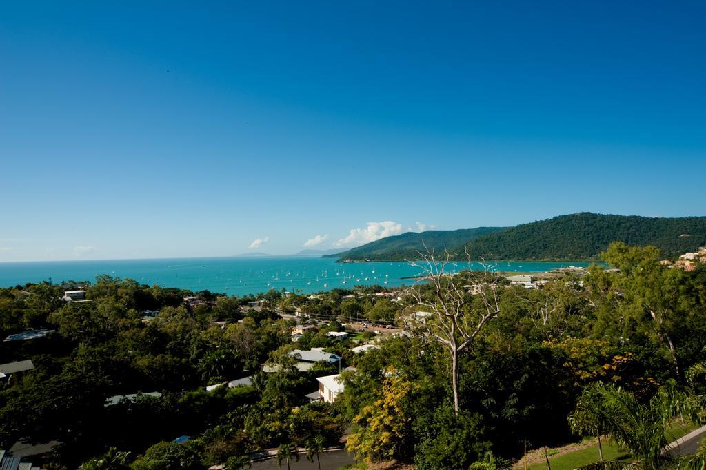 Sea Star Apartments Airlie Beach Eksteriør bilde