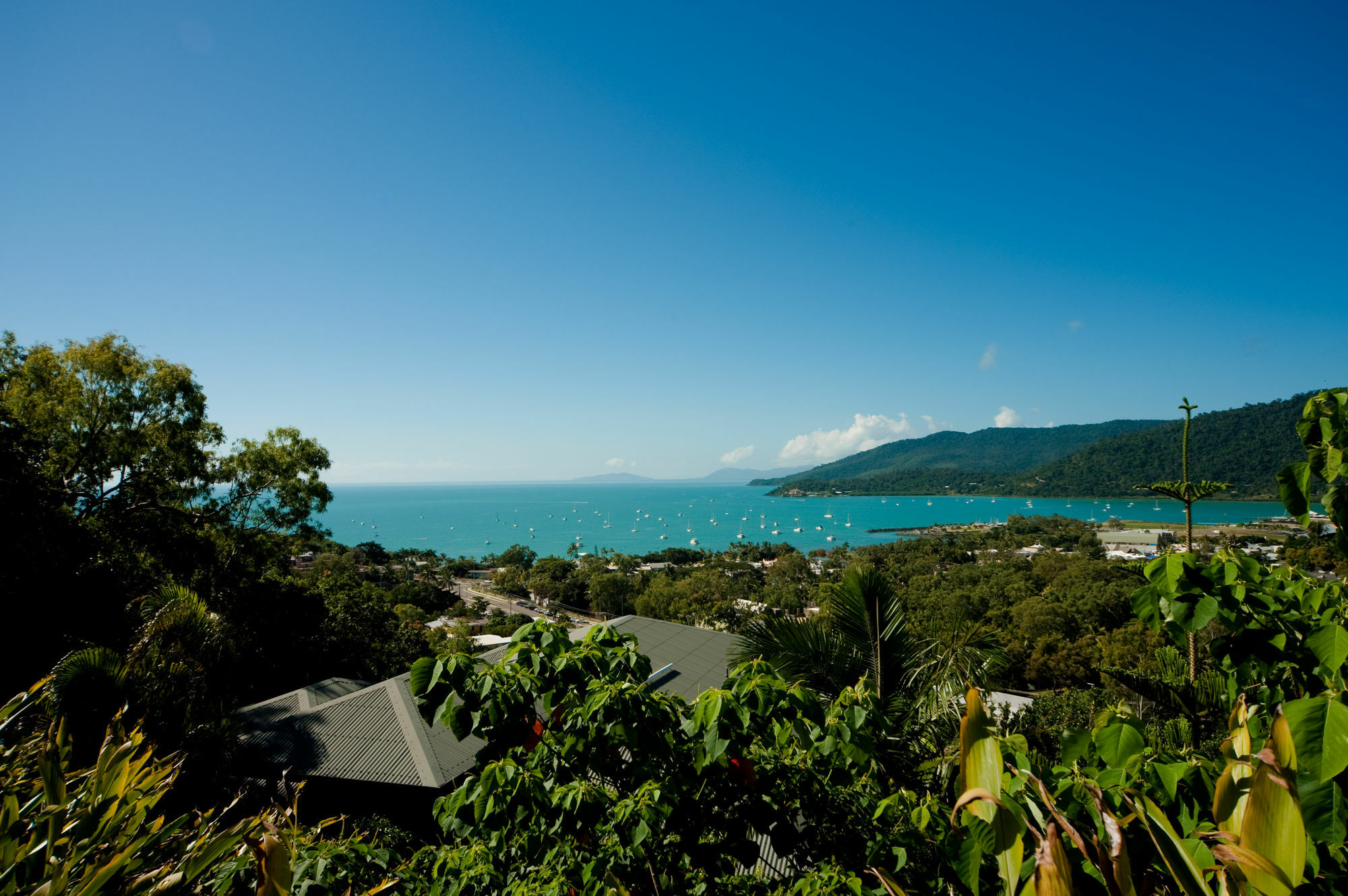 Sea Star Apartments Airlie Beach Eksteriør bilde